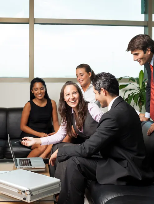 SECTION 2 - Why complex projects need experienced ownership